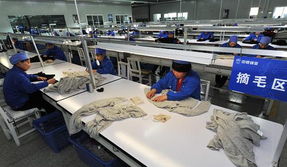 寧夏靈武 占據世界羊絨原絨產量44%的“軟黃金”產業高地