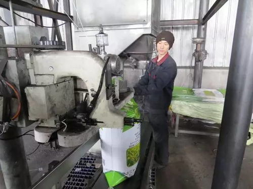 綏棱媒體走基層看發展 紡紗加工產業轉型升級，織就鄉村振興新畫卷